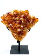 Citrine Cluster on Stand