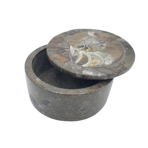 Orthoceras Trinket Box