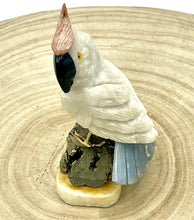 Load image into Gallery viewer, stone cockatoo on pyrite base 
