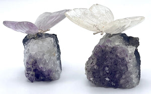 Quartz and Amethyst butterfly on amethyst cluster.