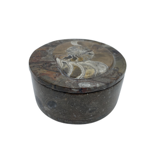 Orthoceras Trinket Box