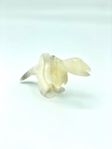 Onyx Dino