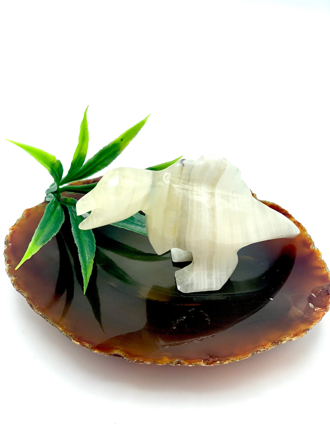 Onyx Dino