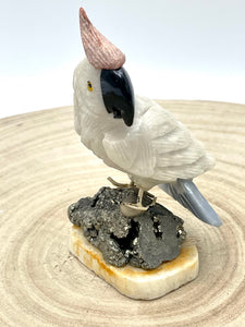 cuckatoo stone 