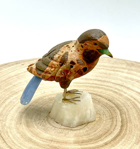 peruvian stone sparrow