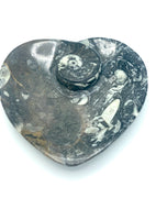 Ammonite heart dish 