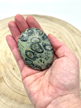 Load image into Gallery viewer, Kambala Jasper Palm Stone

